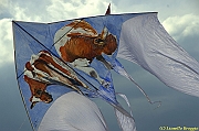 32 FESTIVAL CERVIA 2012 - 269